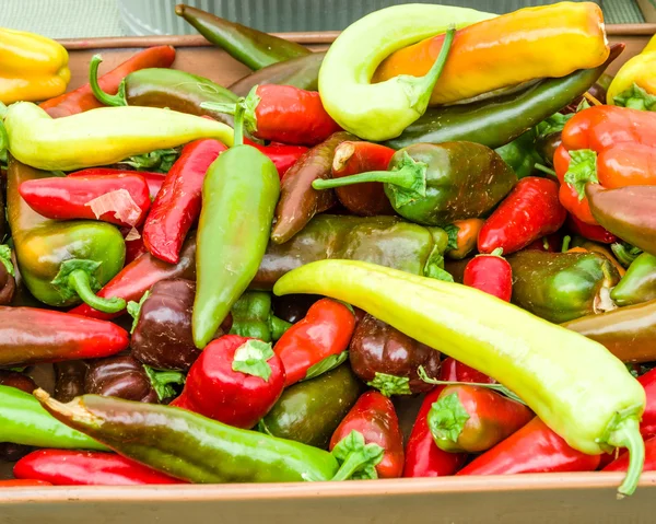 Pimientos picantes en el mercado agrícola — Foto de Stock