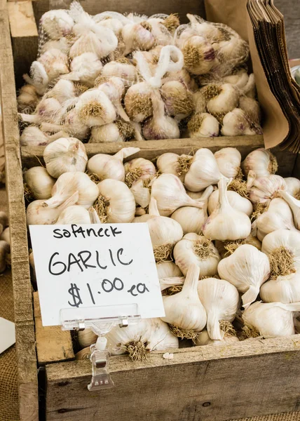 Box of white garlic at the market — Stock Photo, Image