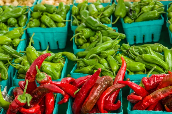 Kotak merah dan hijau paprika panas — Stok Foto