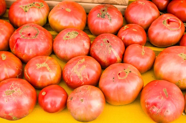 Tomates roses héritées au marché — Photo