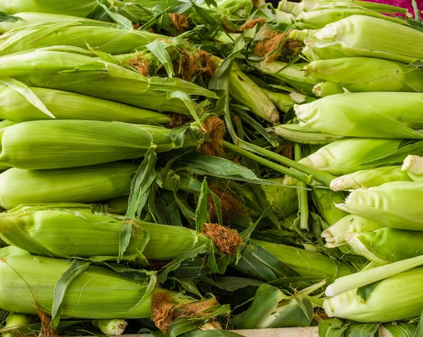 甜玉米在市场上的耳朵 — 图库照片