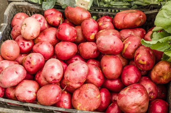 Basket of red potatoes at the market — Stock Photo, Image