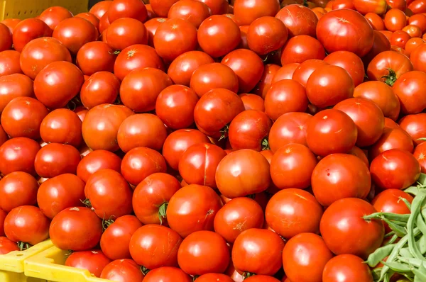 大型显示屏的红番茄 — 图库照片