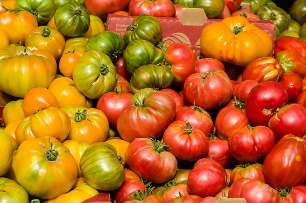 Visning av heirloom tomater på marknaden — Stockfoto