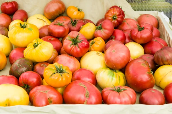 Tomates heredados en el mercado agrícola —  Fotos de Stock