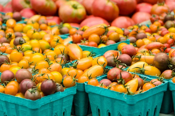 Lådor med små tomater på marknaden — Stockfoto