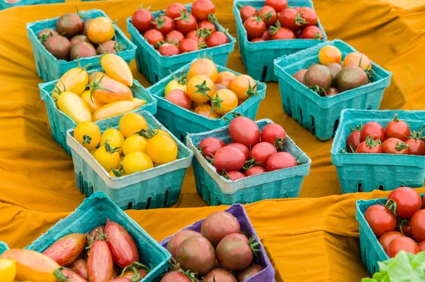 Boxes of small tomatoes at the market — Stock Photo, Image