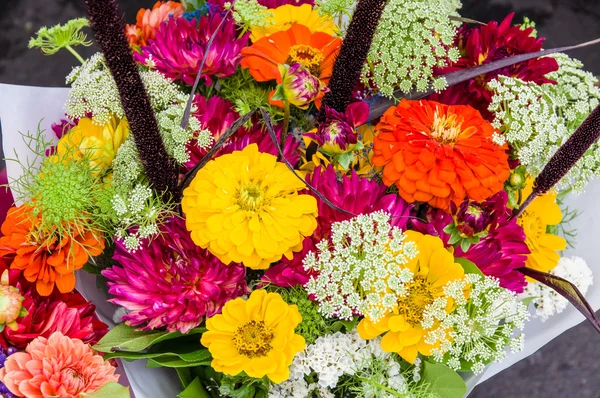 Bukiet świeżych kwiatów ciętych — Zdjęcie stockowe