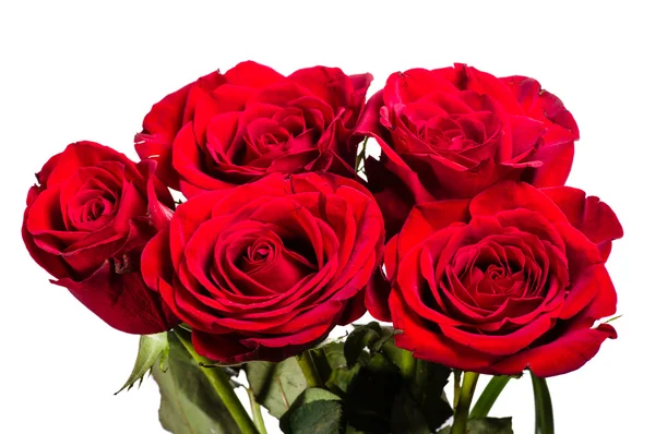 Bouquet of red roses isolated on white — Stock Photo, Image