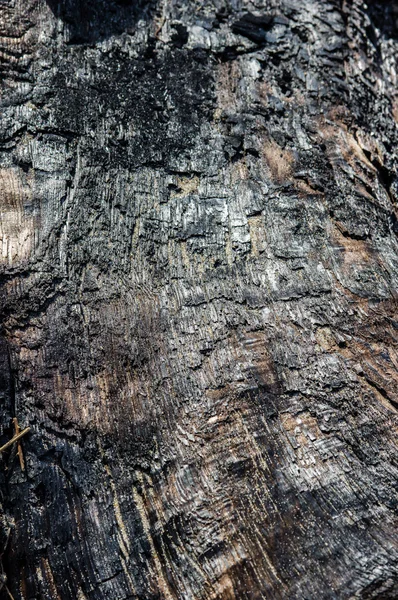 Připálené log s uhlíkový povrch — Stock fotografie