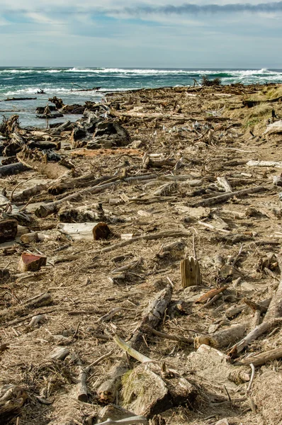 Driftwood spazzatura lavato sulla spiaggia — Foto Stock