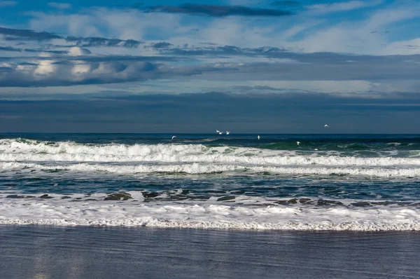 Dalgalar ve Pasifik Okyanusu üzerinde deniz martı — Stok fotoğraf