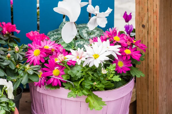 Pink basket with spring flower arrangement — Stock Photo, Image