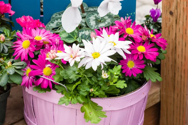 Pink basket with spring flower arrangement — Stock Photo, Image