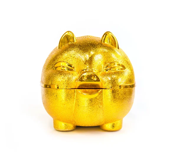 Chiński złoty świnia piggy bank — Zdjęcie stockowe