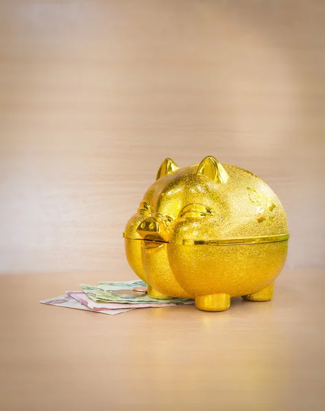 Chinese golden Pig piggy bank