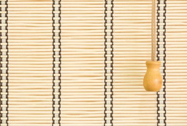 Bambu perde salon içinde