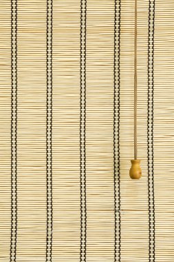 Bambu perde salon içinde