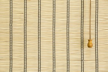 Bambu perde salon içinde