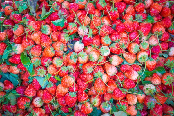 Red strawberries background — Stock Photo, Image