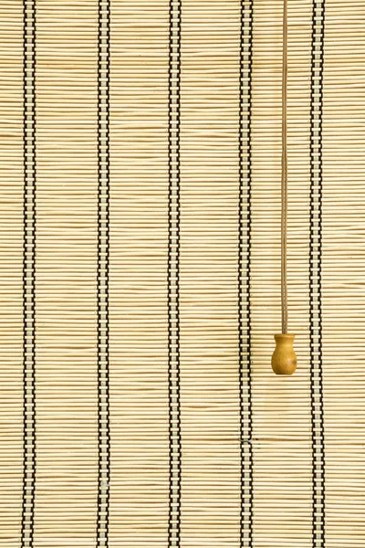 Bambu perde salon içinde