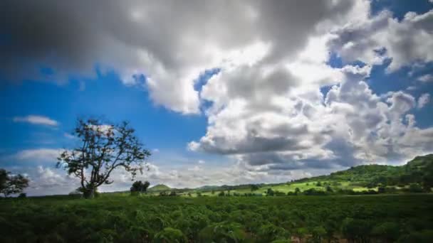 Plan verde con cielo nuboso — Vídeo de stock