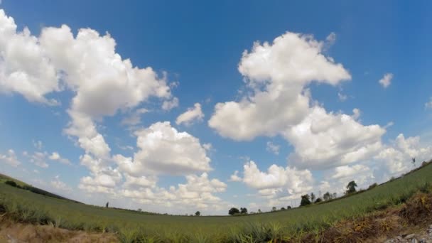 Cielo nuvoloso con piano verde, time lapse — Video Stock