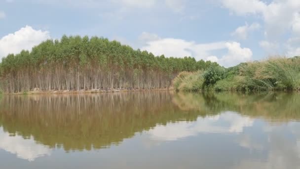 Vidéo panoramique de l'étang de la nature — Video