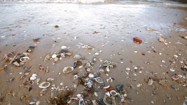 Scène nature de plage et océan 