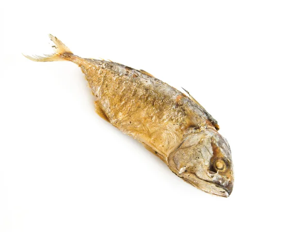A mackerel fried — Stock Photo, Image