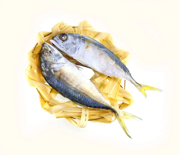 Boiled Mackerel fish — Stock Photo, Image