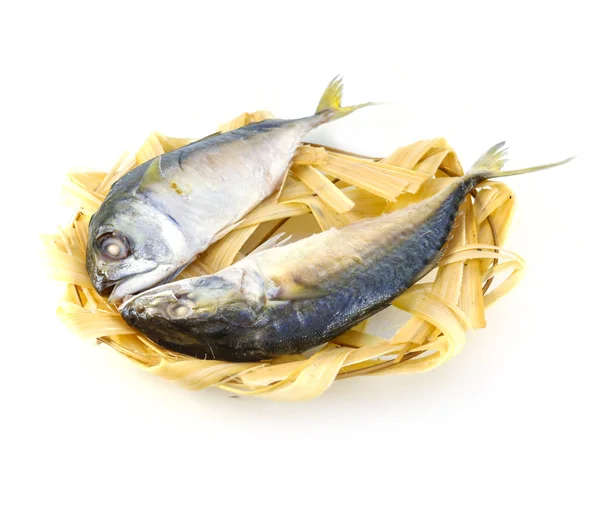 Boiled Mackerel fish — Stock Photo, Image