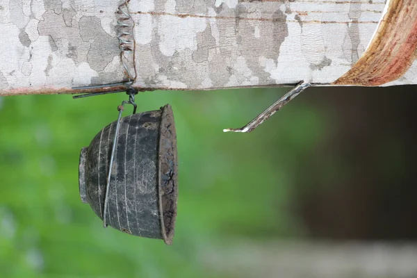 Quinta de plantação de borracha — Fotografia de Stock