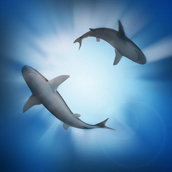 Pod modrou vodou s dvěma žralok — Stock fotografie