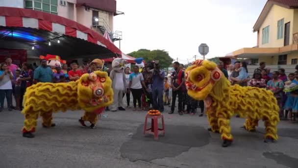 Dança do leão comer mandarion laranja — Vídeo de Stock