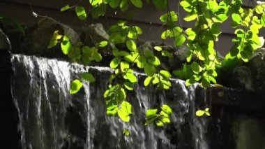 Kuş parkında güneş ışığı olan yeşil yapraklı yapay şelale..