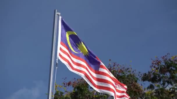 Σημαία Της Μαλαισίας Κυματίζει Κάτω Από Γαλάζιο Ουρανό — Αρχείο Βίντεο