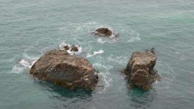 Otago kıyısındaki Nugget Point 'te kaya oluşumu.