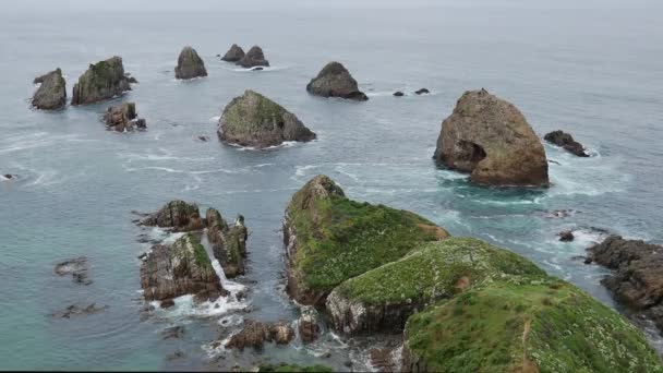 Nugget Point Yeni Zelanda Bakıyorum — Stok video