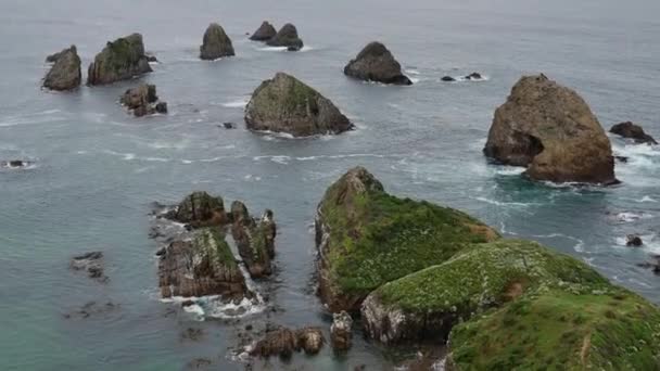 Nugget Point Güney Adası Yeni Zelanda Daki Kaya Oluşumu — Stok video