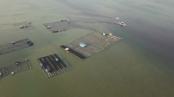 Offshore aquaculture at Teluk Tempoyak. — Stock Video