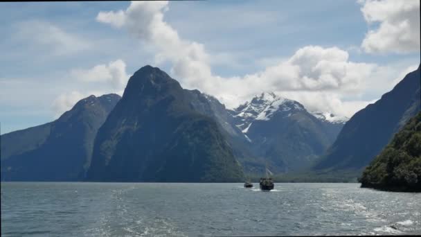 Båt seglar i Milford Sound. Spektakulär naturlig attraktion — Stockvideo