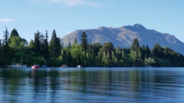 Lago Wakatipu com colina verde como fundo. — Vídeo de Stock
