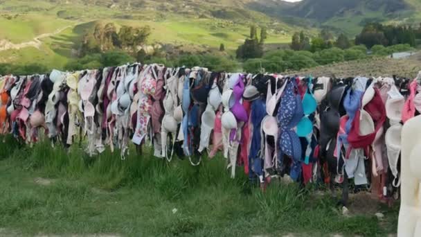 Atracción turística Bradrona. Recopilación de donaciones para combatir el cáncer de mama — Vídeo de stock