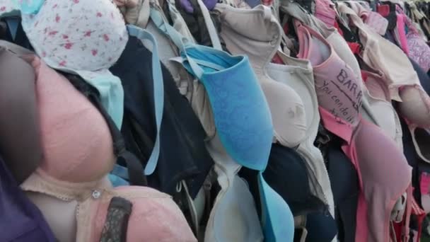 Cardrona酒吧的篱笆收集捐赠胸罩来对抗乳腺癌. — 图库视频影像