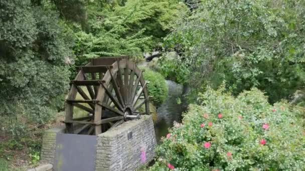 Vízimalom funkció a folyónál a kertben. — Stock videók