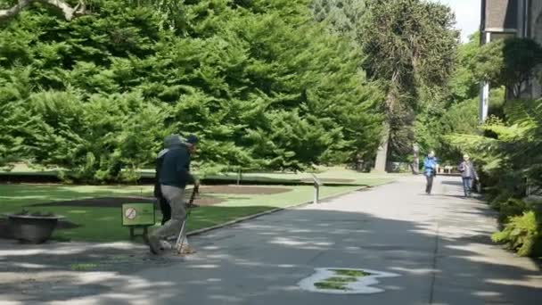 Les gens exercent dans le jardin botanique. — Video