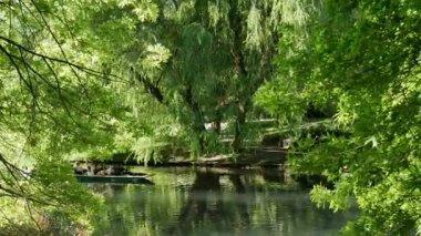 Christchurch Yeni Zelanda 'daki Avon nehri boyunca, yeşil ağaçların altında..