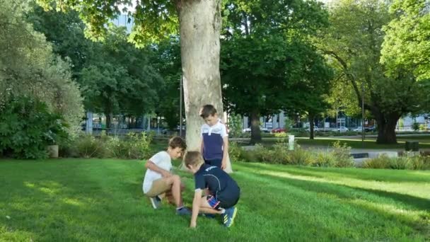 Tre ragazzi giocano davanti a un albero. — Video Stock