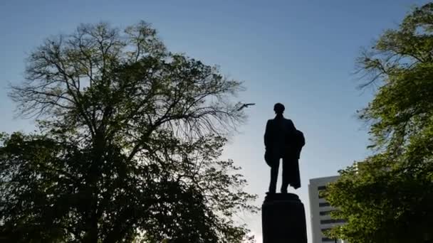 Silhouette la statua di John Robert Godley il fondatore della regione di Canterbury in Piazza della Cattedrale. — Video Stock